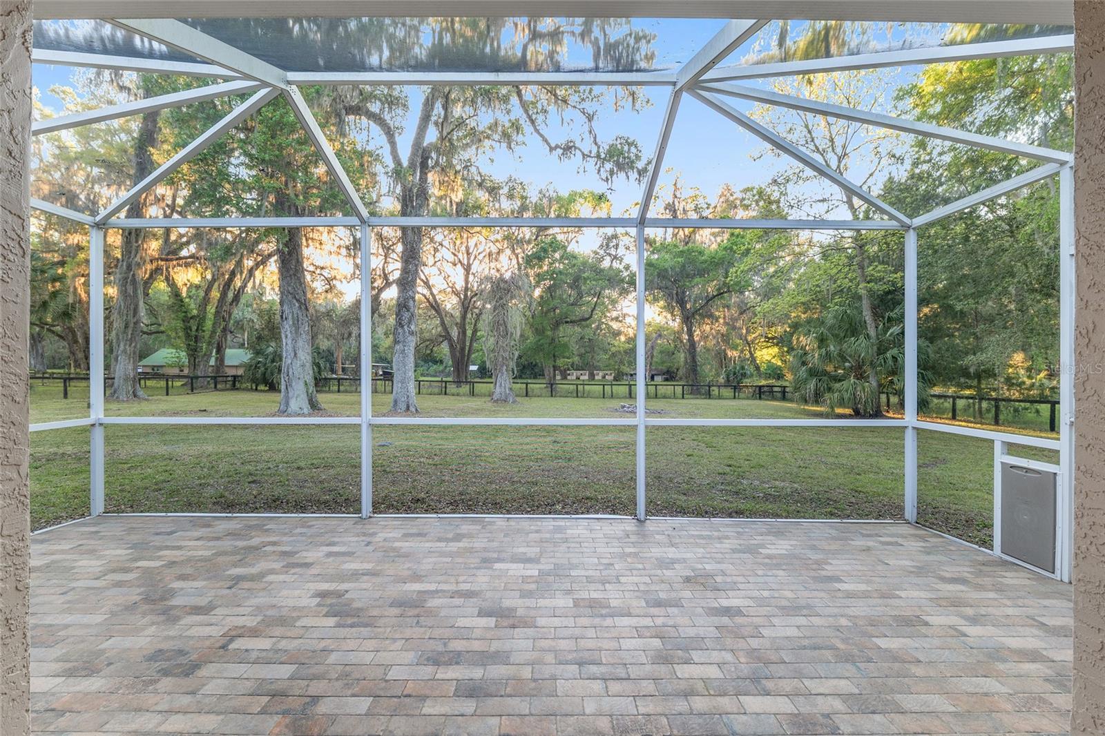 13920 NE 38TH AVE, ANTHONY, FL, 32617