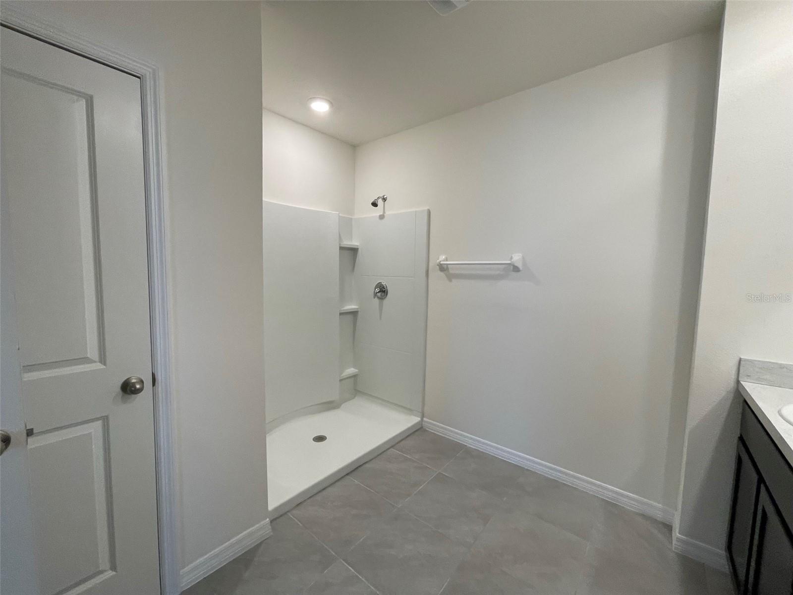 31178 PENNY SURF LOOP, WESLEY CHAPEL, FL, 33545