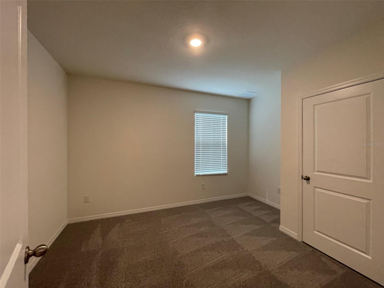 31178 PENNY SURF LOOP, WESLEY CHAPEL, FL, 33545