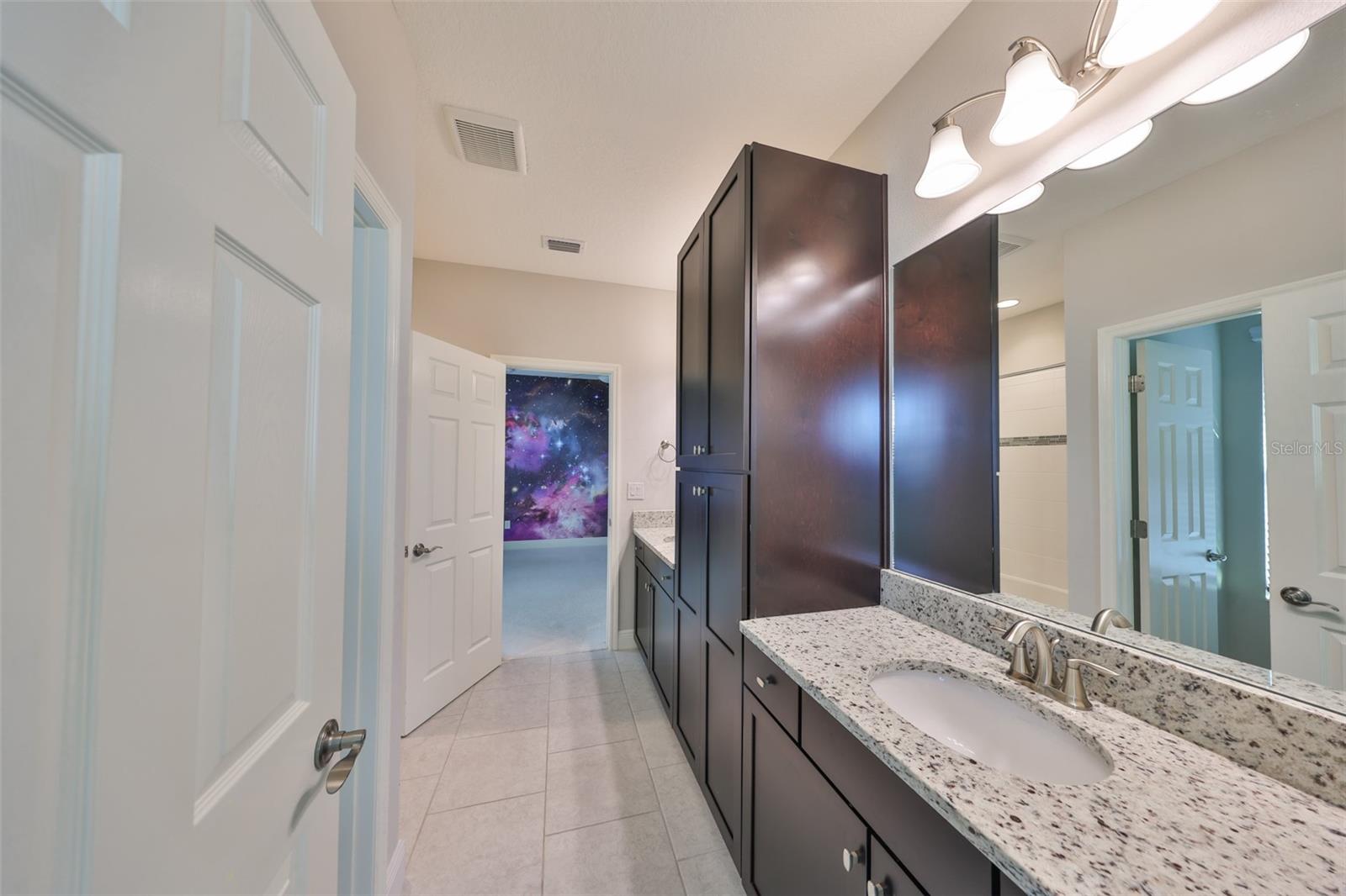11408 DRIFTING LEAF DR, RIVERVIEW, FL, 33579