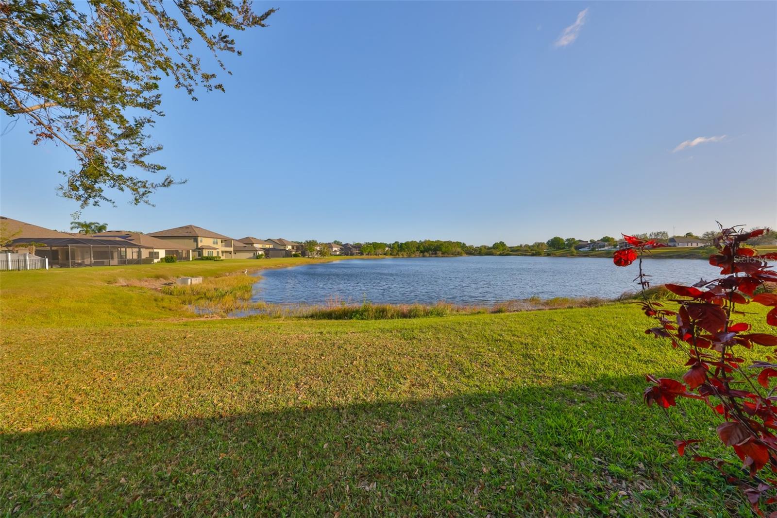 11408 DRIFTING LEAF DR, RIVERVIEW, FL, 33579