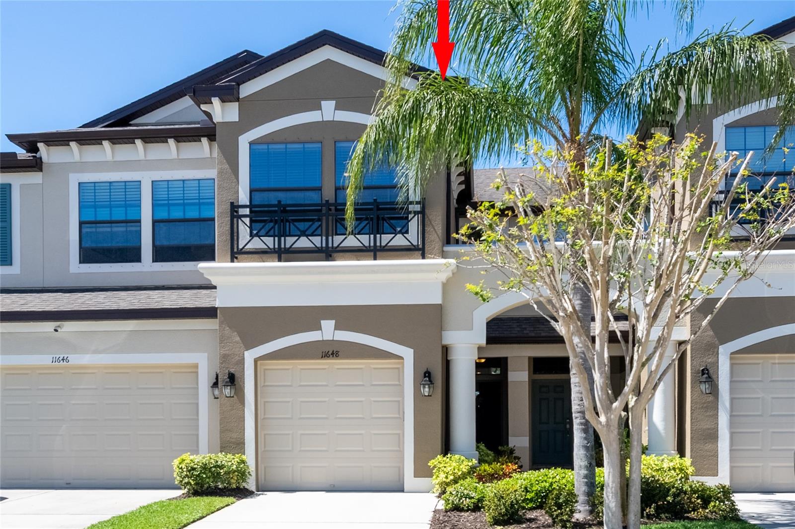 11648 CROWNED SPARROW LN, TAMPA, FL, 33626