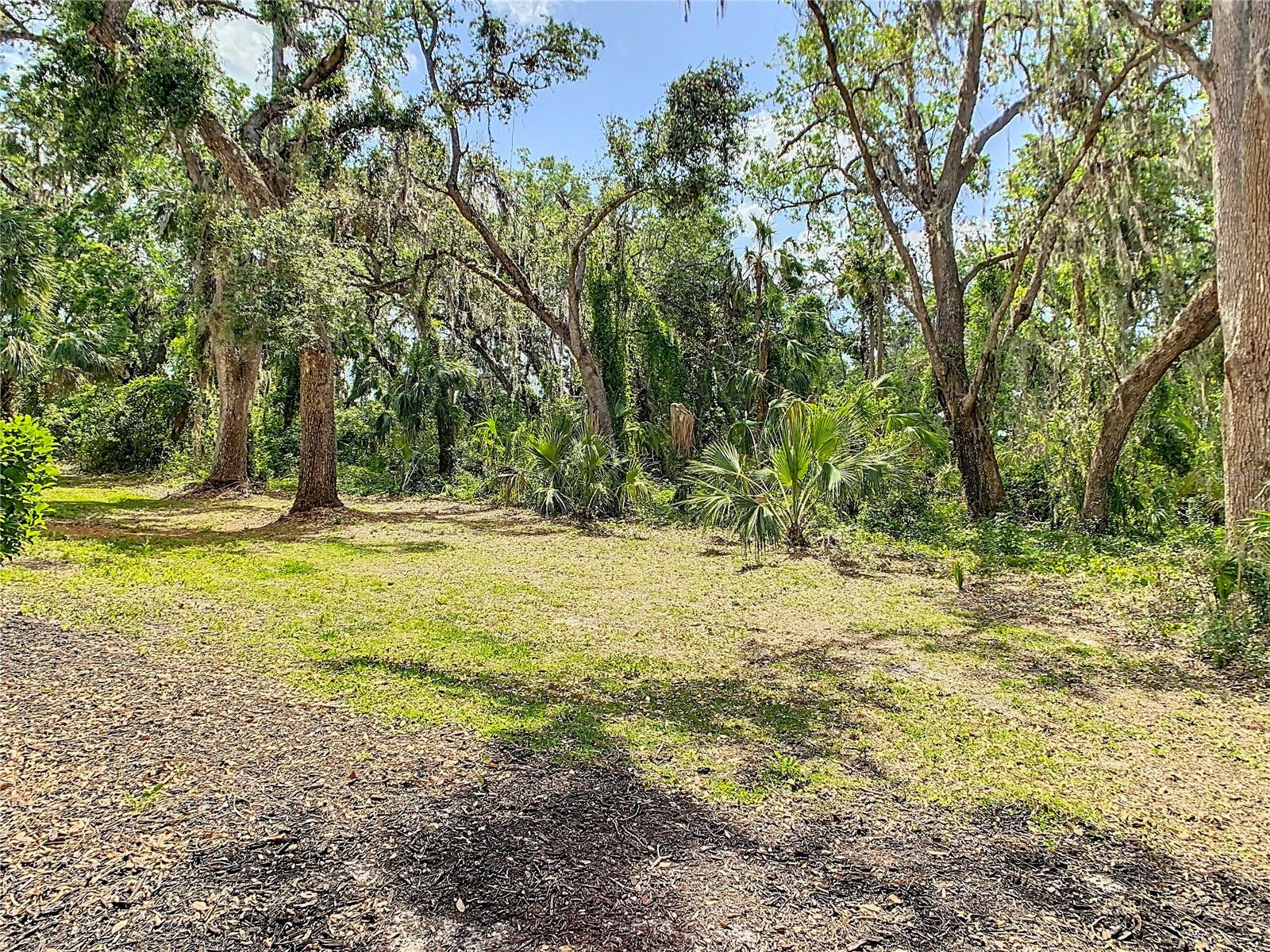 8539 SANDPIPER RIDGE AVE, TAMPA, FL, 33647