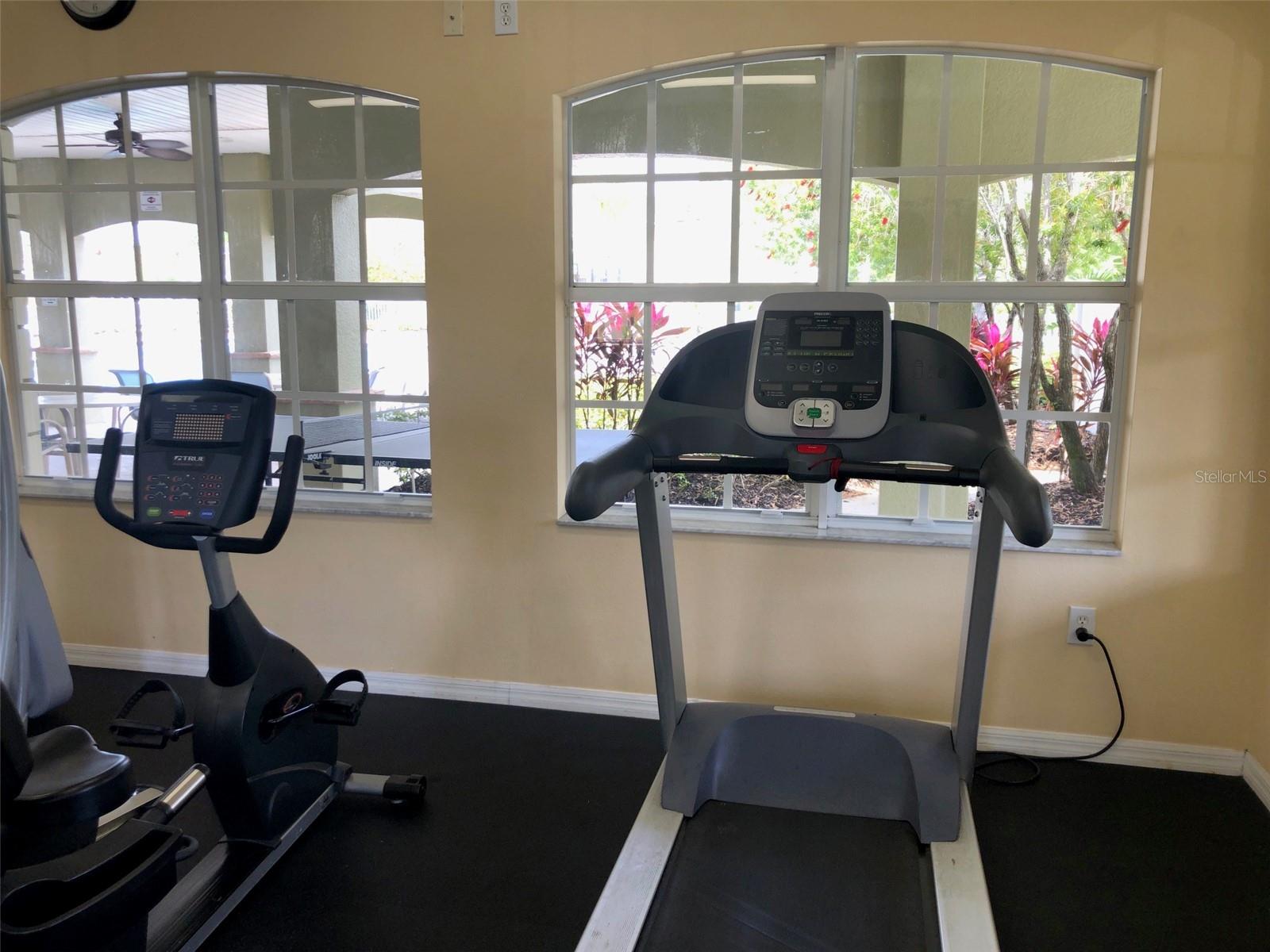 8539 SANDPIPER RIDGE AVE, TAMPA, FL, 33647