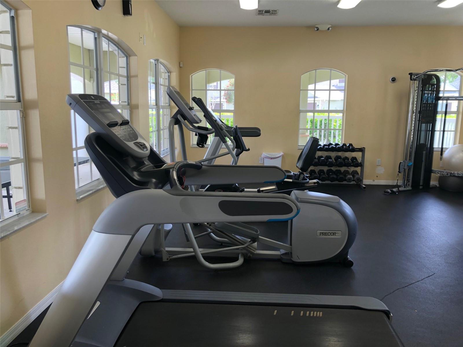 8539 SANDPIPER RIDGE AVE, TAMPA, FL, 33647