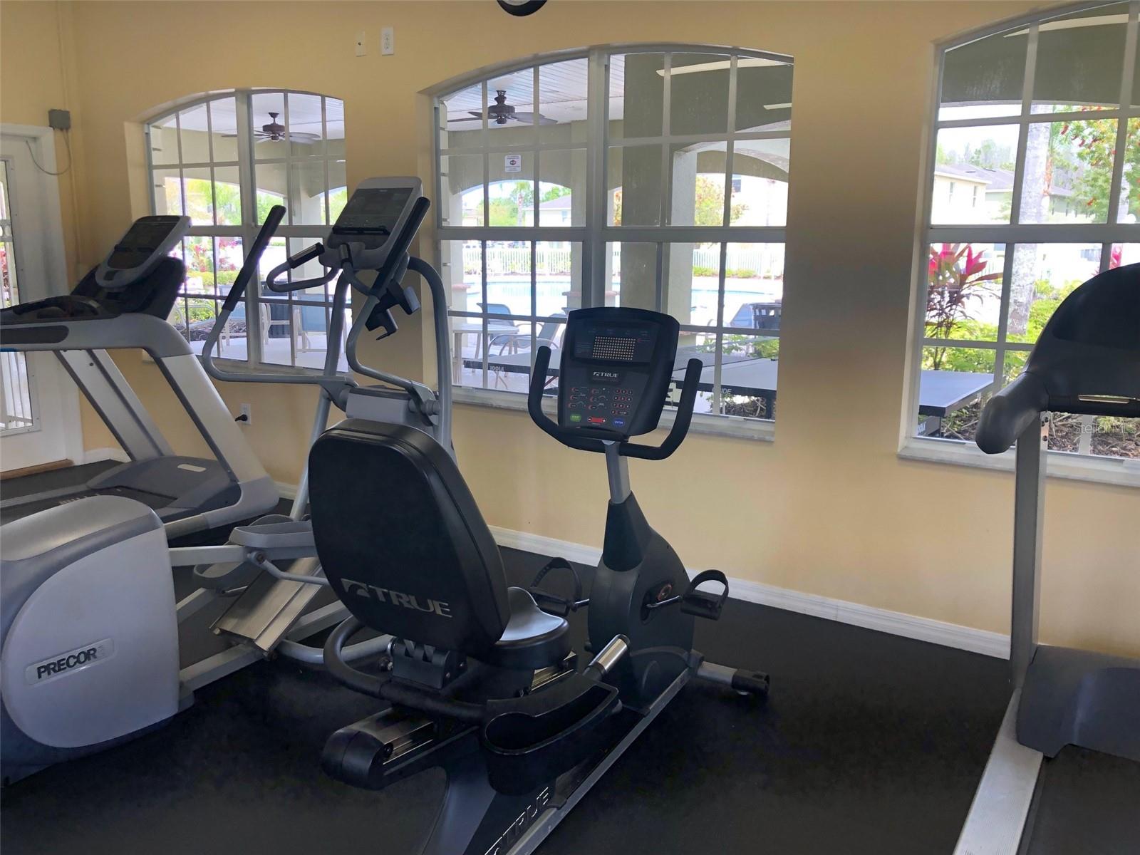 8539 SANDPIPER RIDGE AVE, TAMPA, FL, 33647