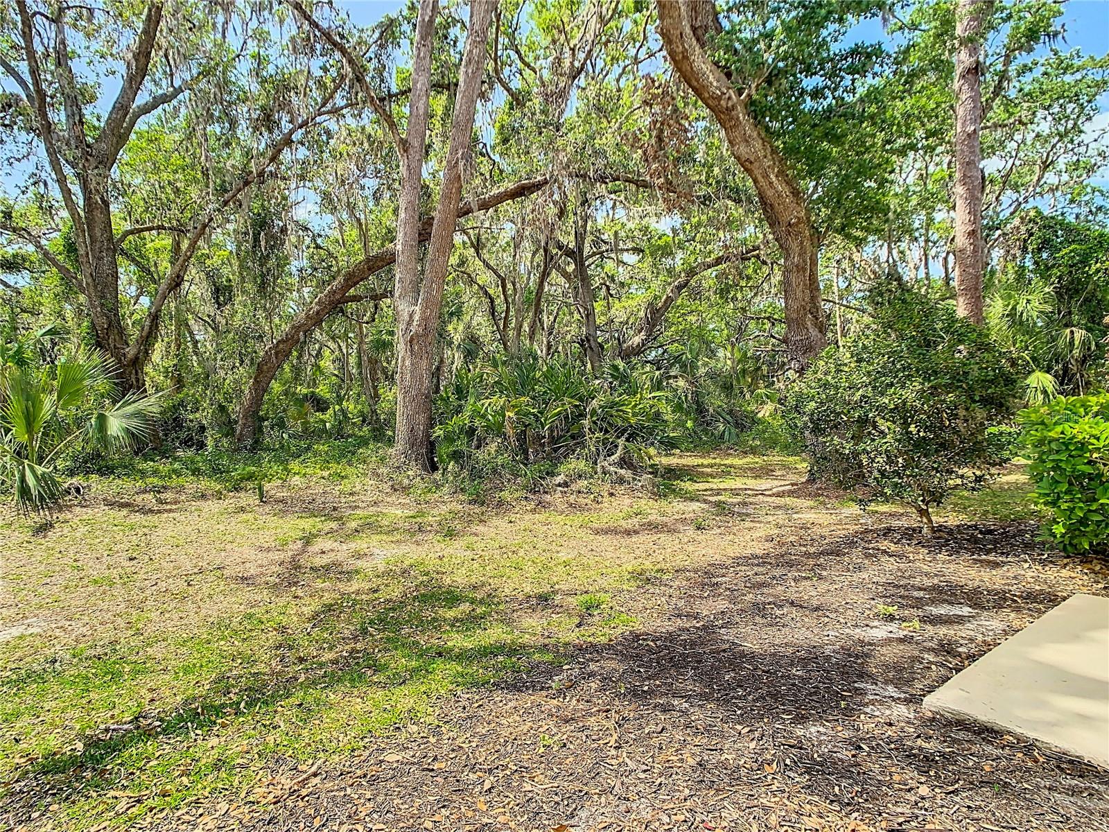 8539 SANDPIPER RIDGE AVE, TAMPA, FL, 33647