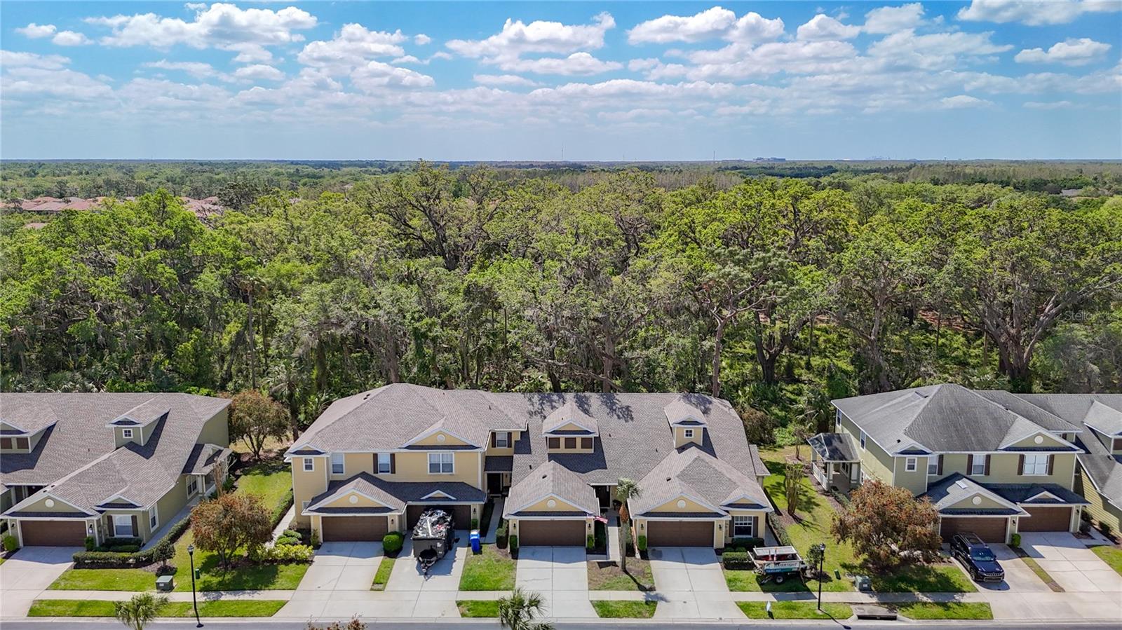 8539 SANDPIPER RIDGE AVE, TAMPA, FL, 33647