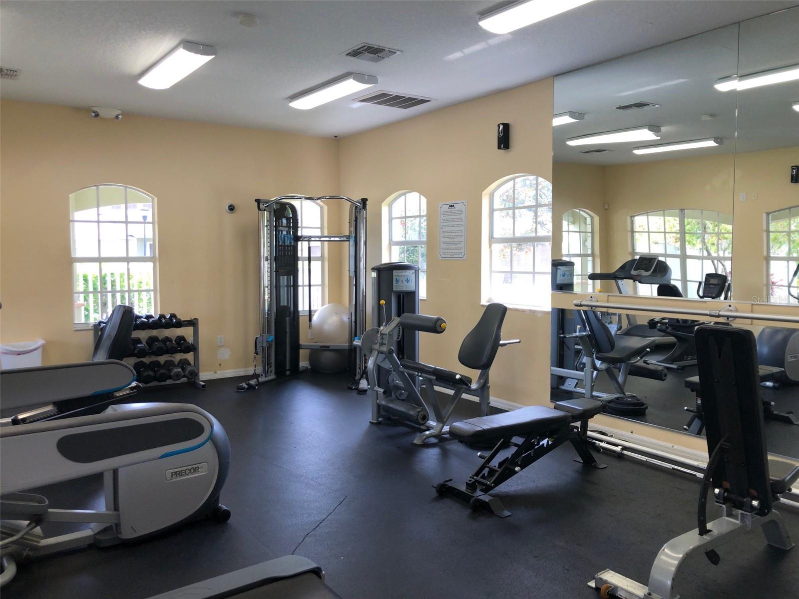 8539 SANDPIPER RIDGE AVE, TAMPA, FL, 33647