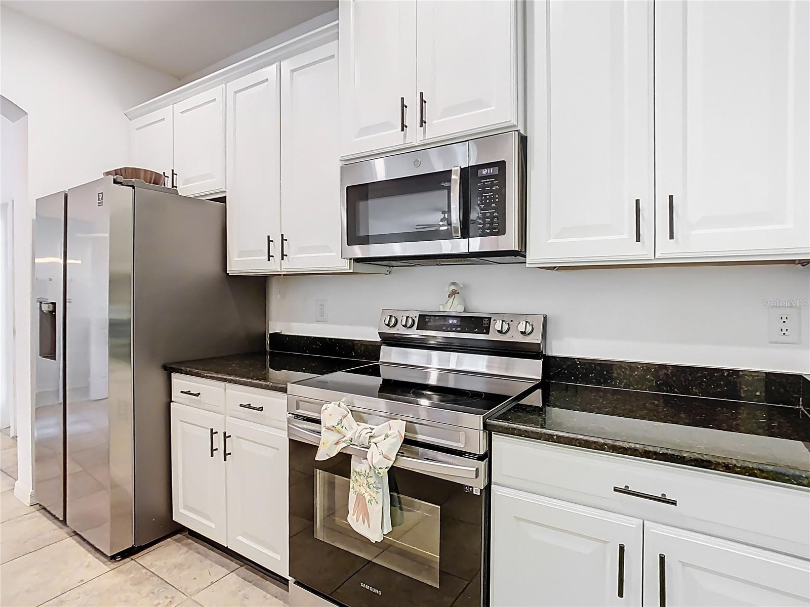 8539 SANDPIPER RIDGE AVE, TAMPA, FL, 33647