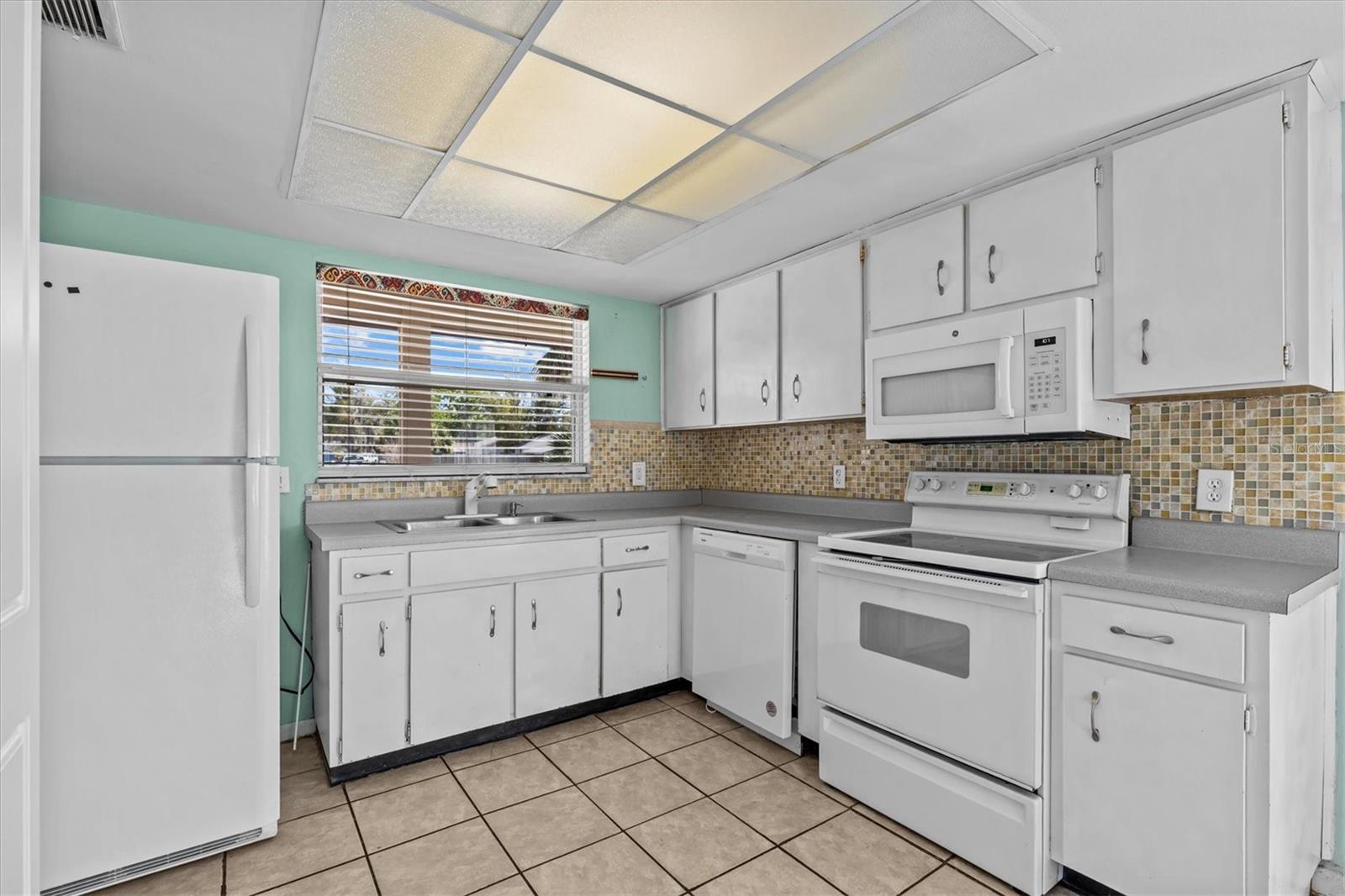 1010 STONEFENCE WAY, TARPON SPRINGS, FL, 34689