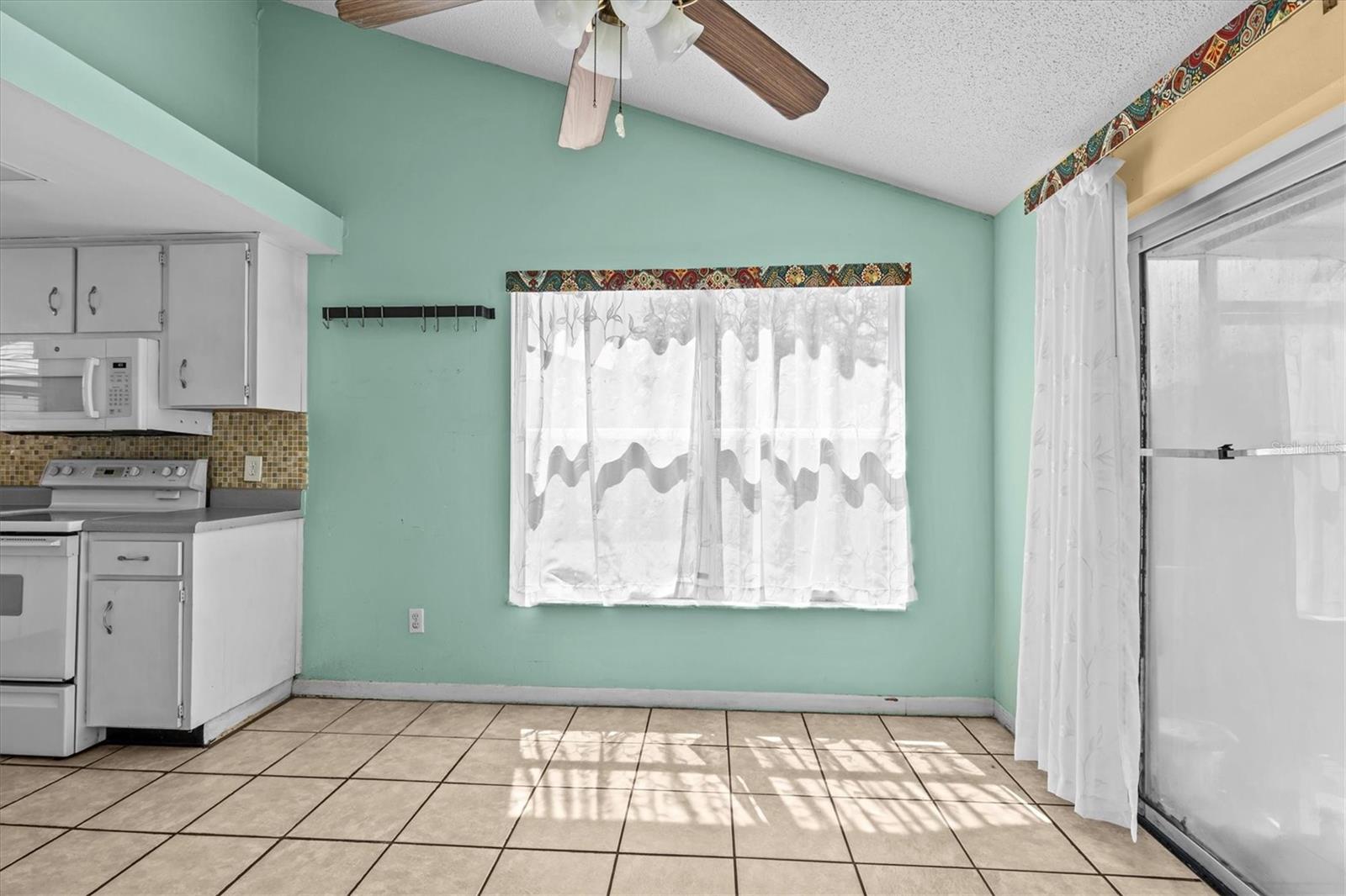 1010 STONEFENCE WAY, TARPON SPRINGS, FL, 34689
