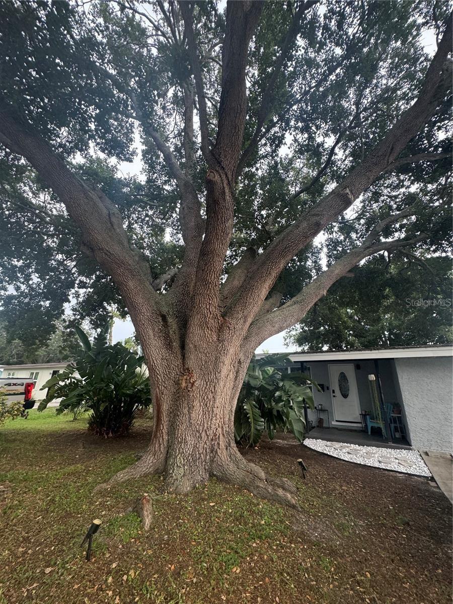 6690 33RD AVE N, ST PETERSBURG, FL, 33710