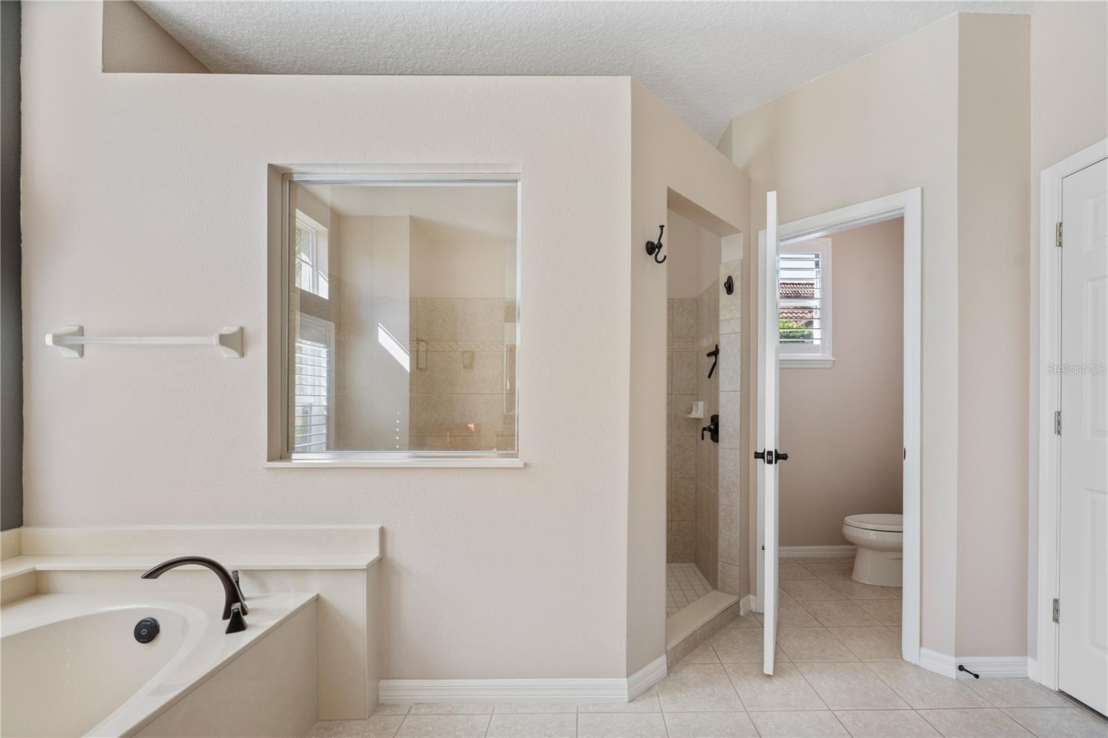 2008 WATER KEY DR, WINDERMERE, FL, 34786