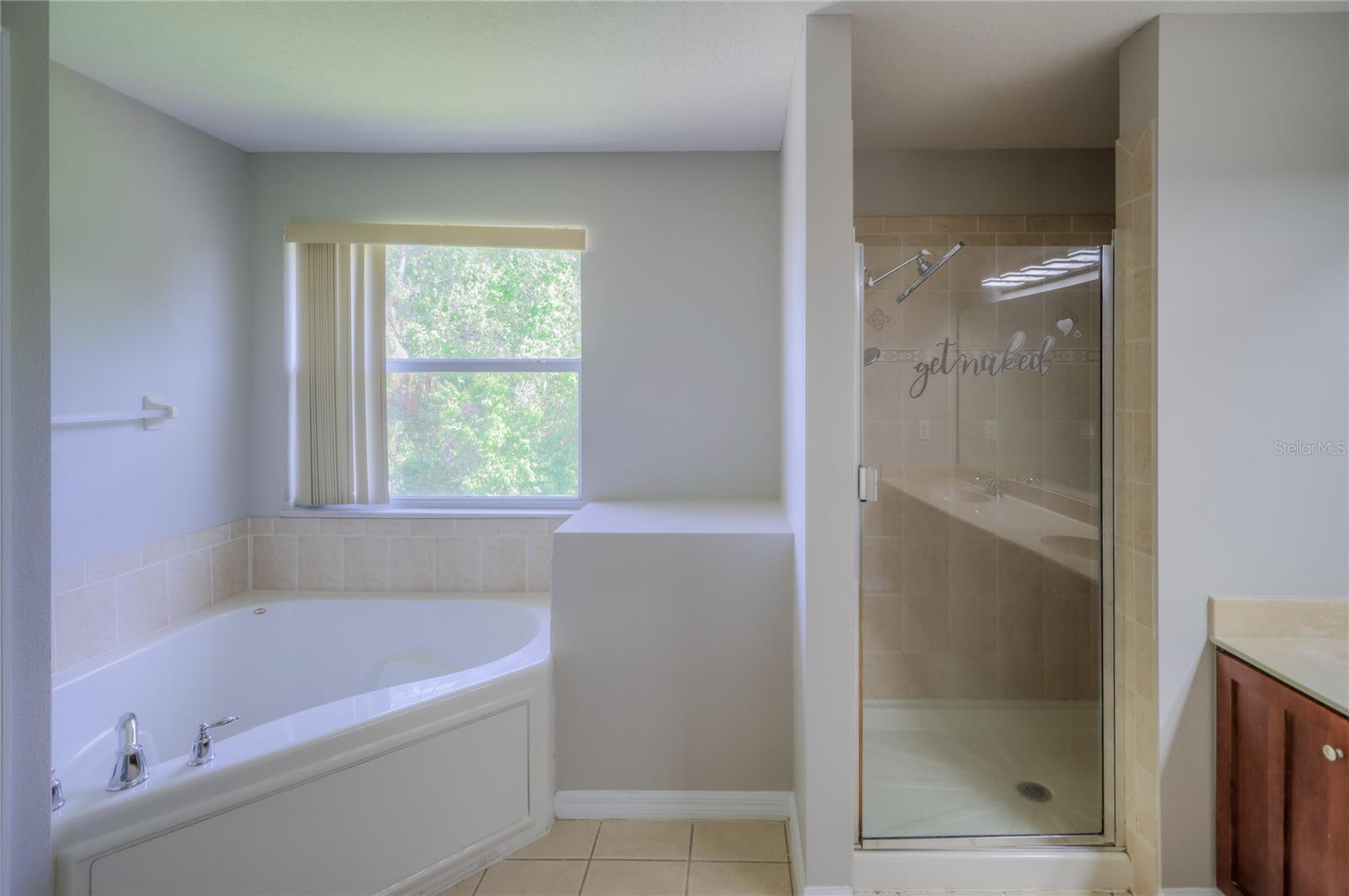 20513 SULTANA CT, TAMPA, FL, 33647