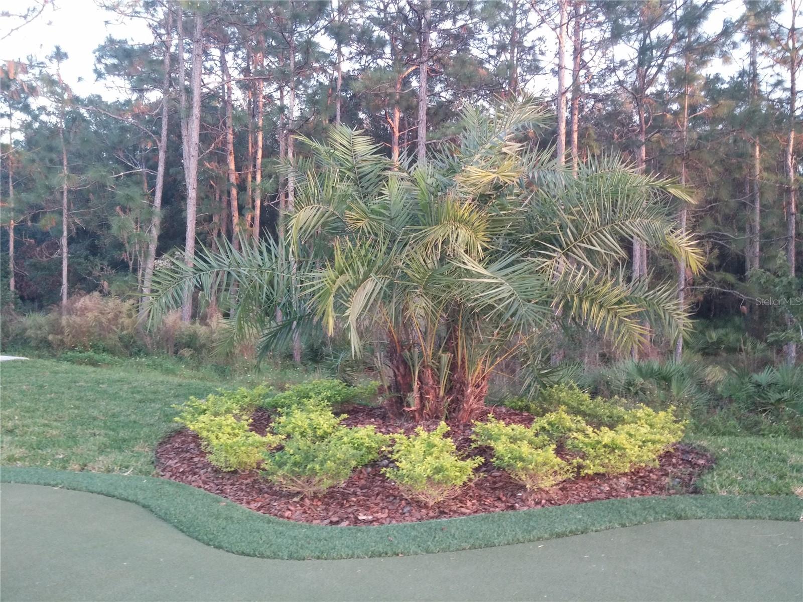 20513 SULTANA CT, TAMPA, FL, 33647