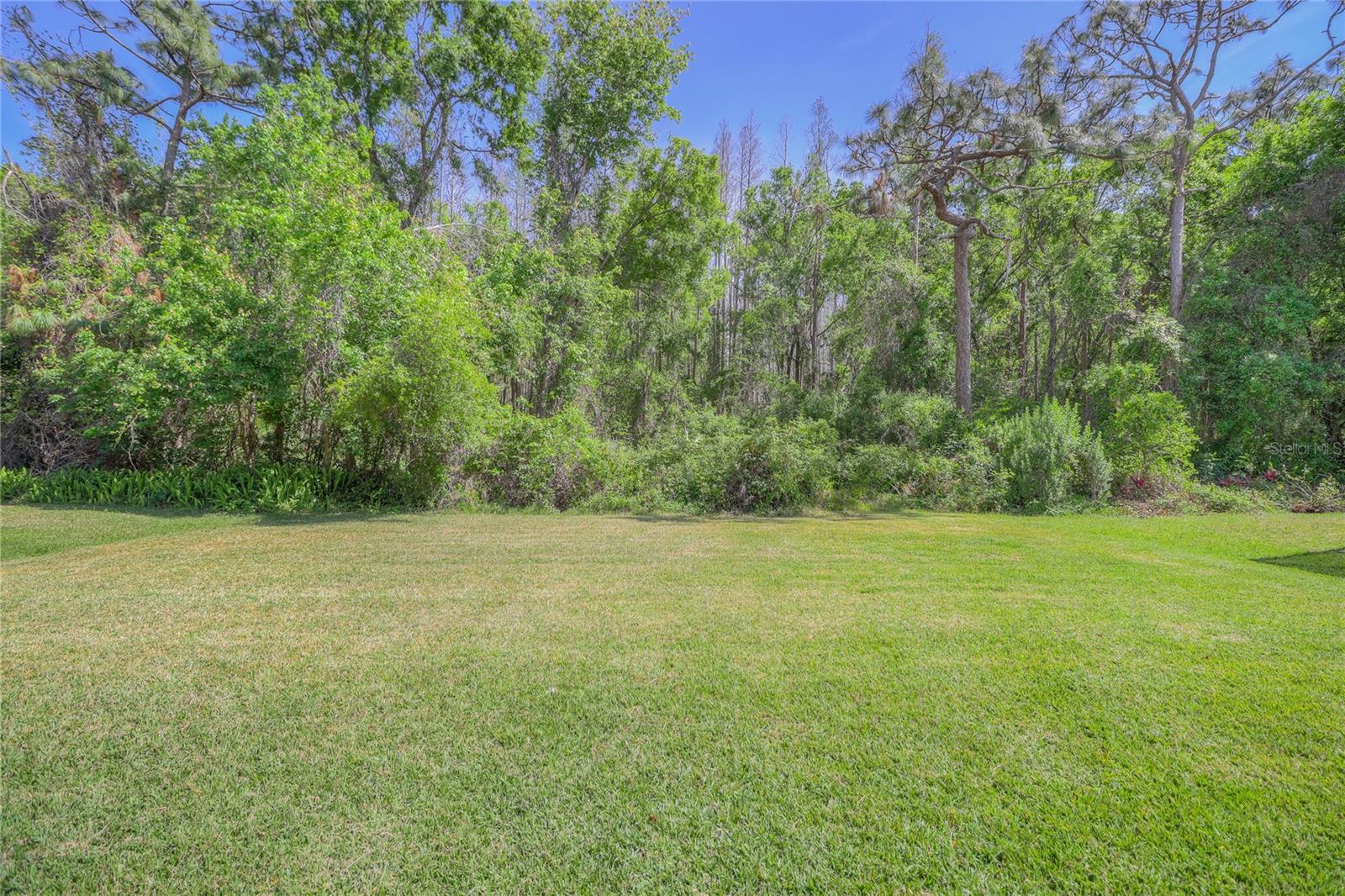 20513 SULTANA CT, TAMPA, FL, 33647