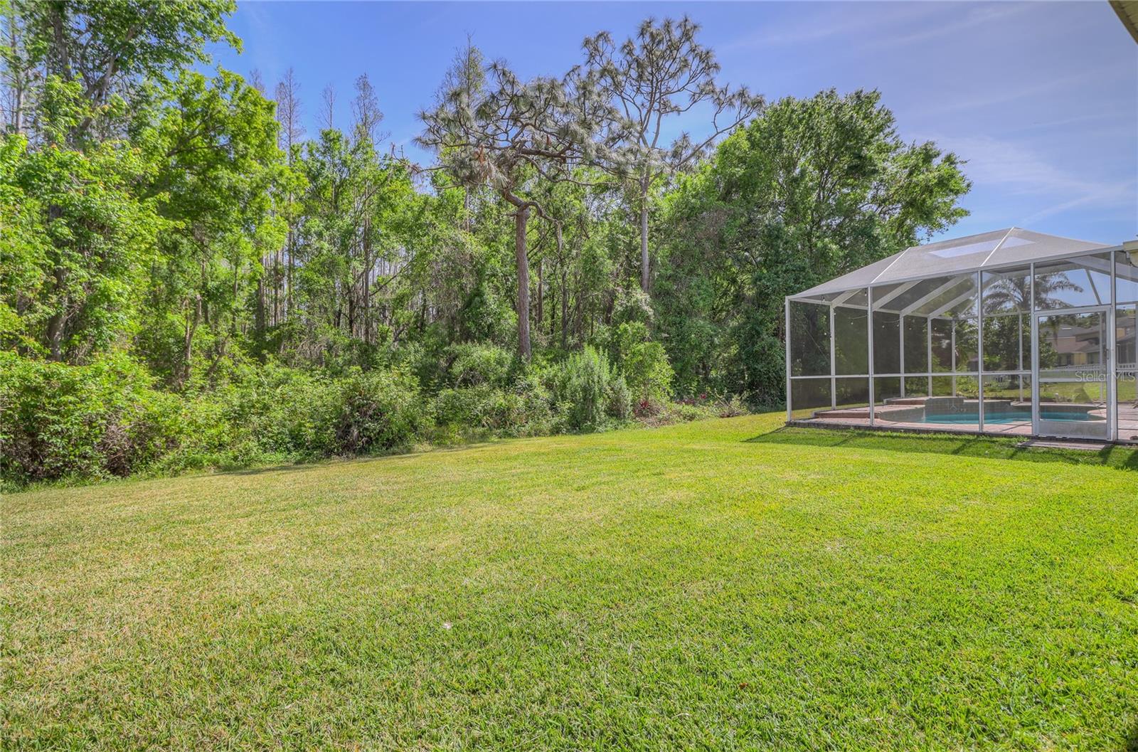 20513 SULTANA CT, TAMPA, FL, 33647