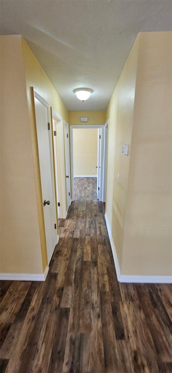 31 ROOSEVELT BLVD, BEVERLY HILLS, FL, 34465