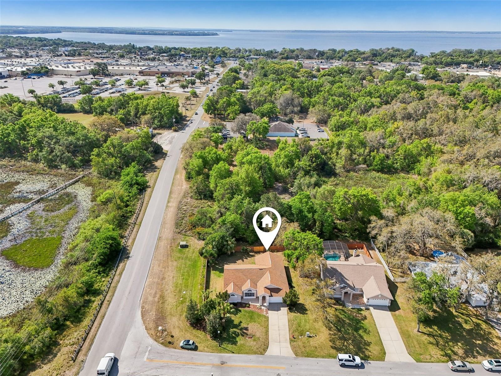 10210 SILVER BLUFF DR, LEESBURG, FL, 34788