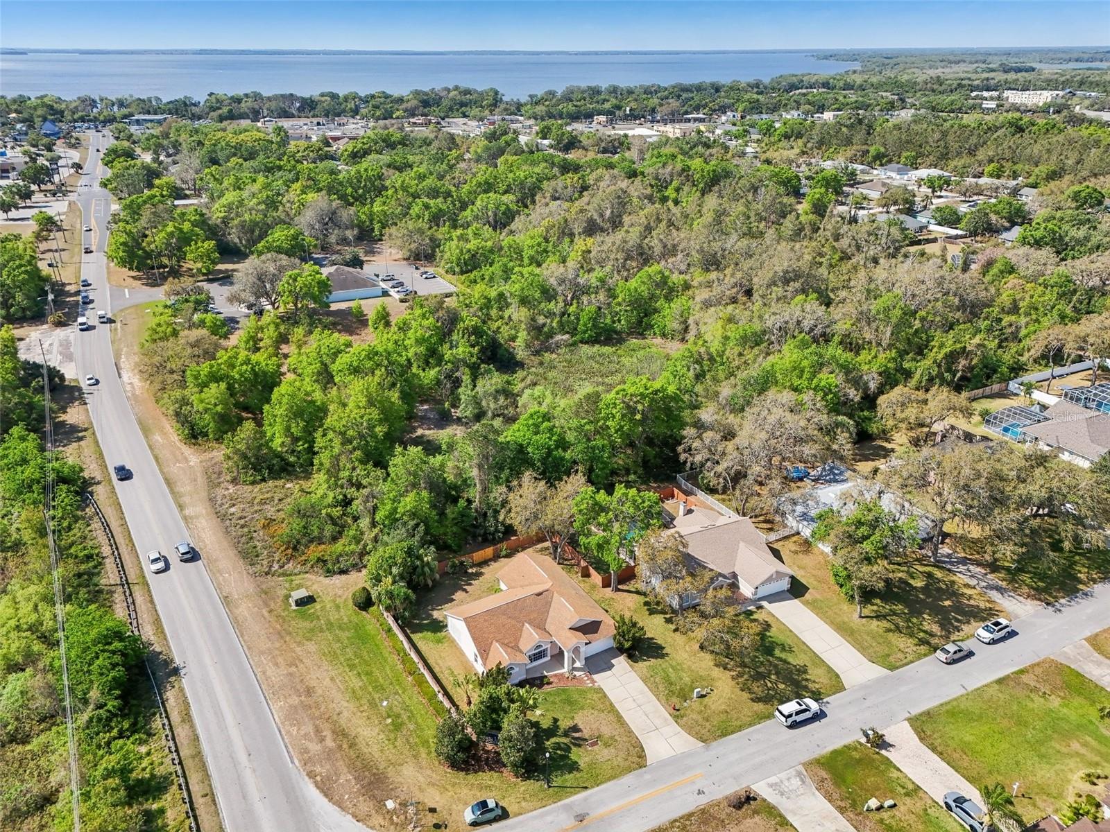 10210 SILVER BLUFF DR, LEESBURG, FL, 34788