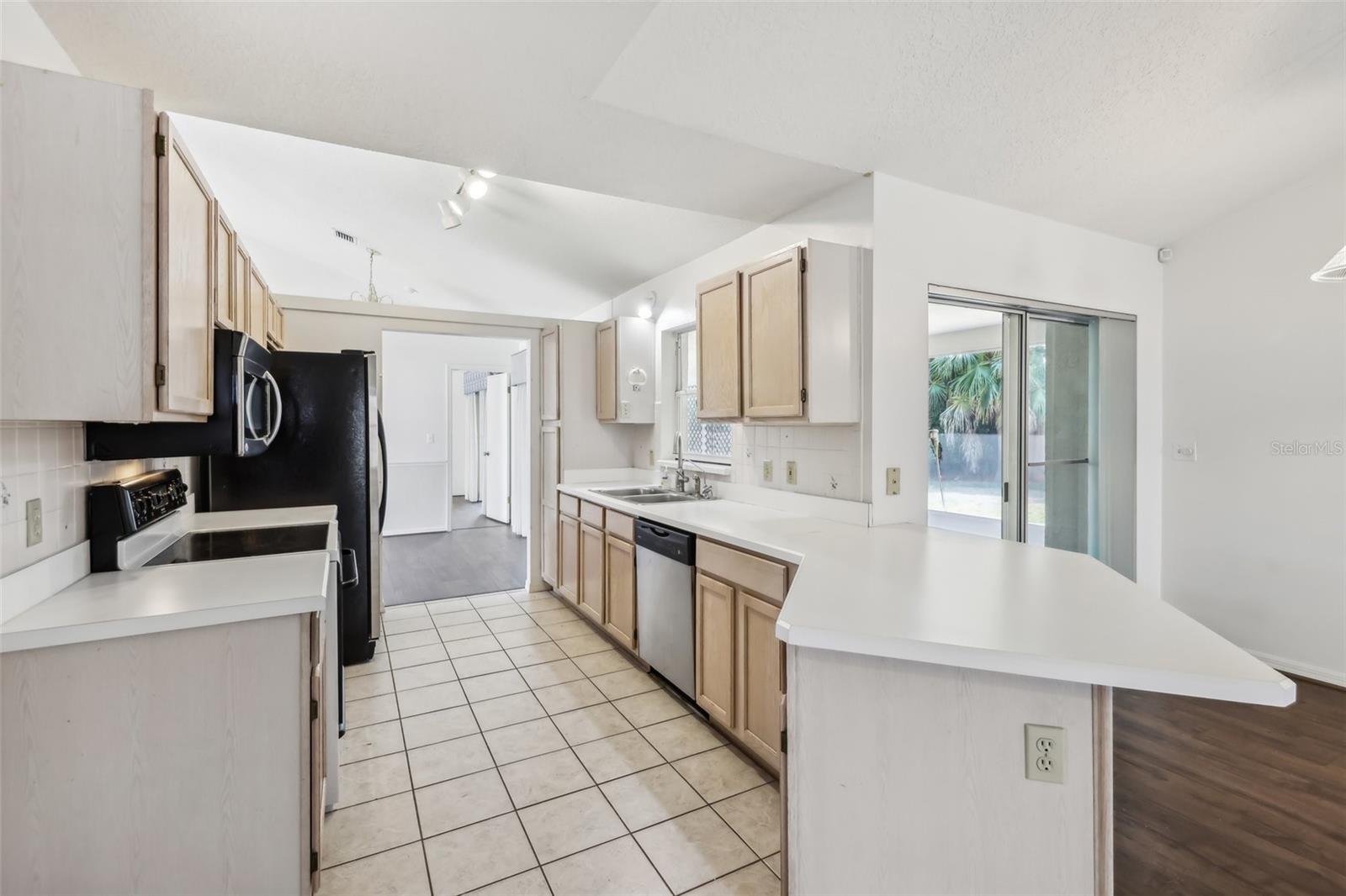 10210 SILVER BLUFF DR, LEESBURG, FL, 34788