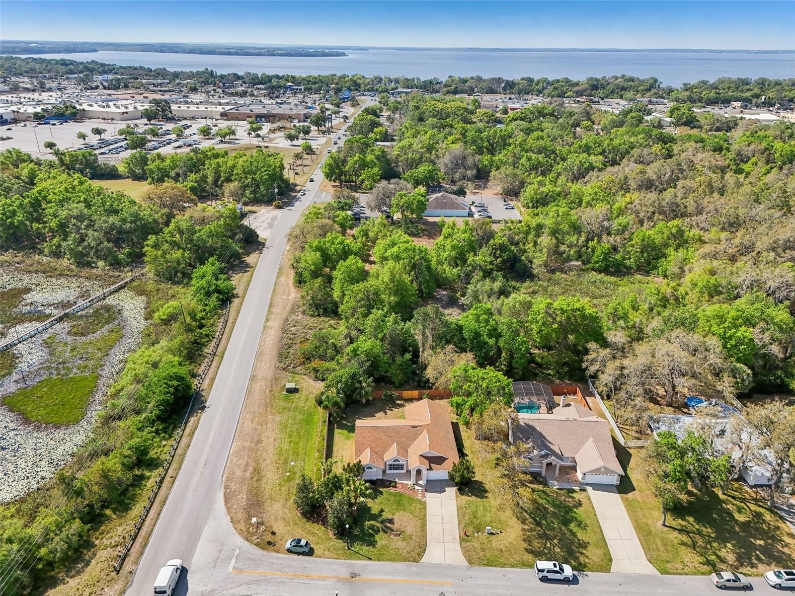 10210 SILVER BLUFF DR, LEESBURG, FL, 34788