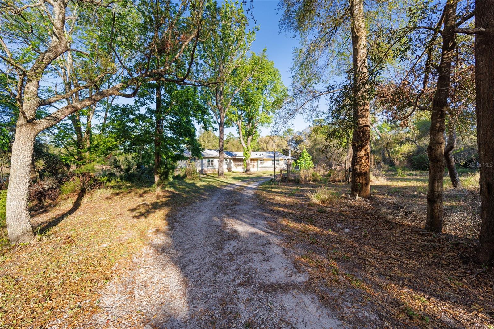 39615 FOREST DR, EUSTIS, FL, 32736