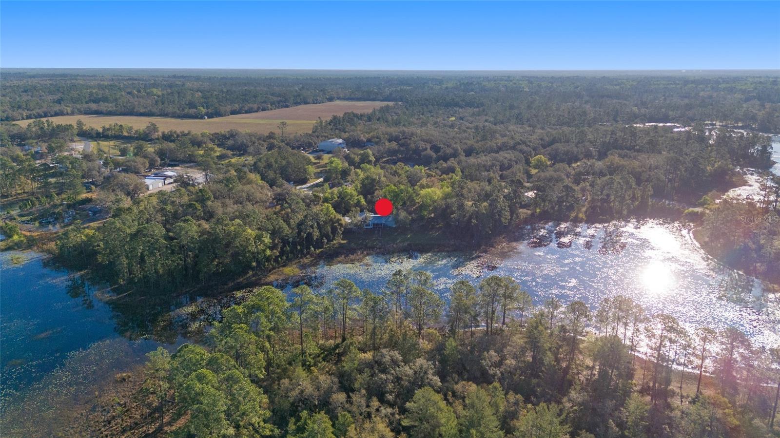 39615 FOREST DR, EUSTIS, FL, 32736