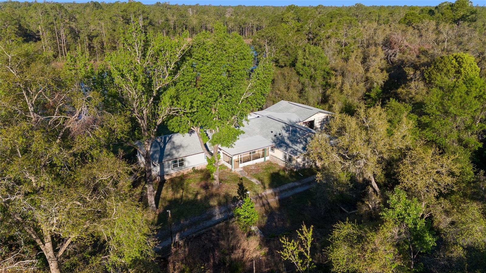 39615 FOREST DR, EUSTIS, FL, 32736