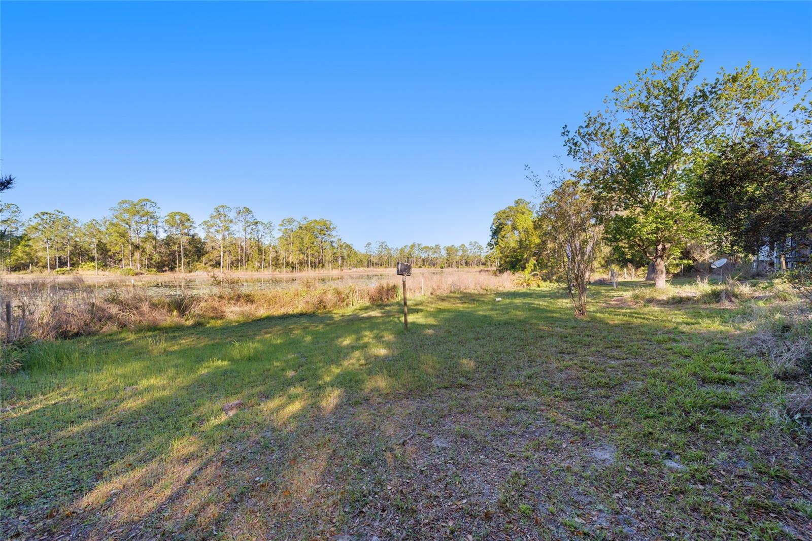 39615 FOREST DR, EUSTIS, FL, 32736