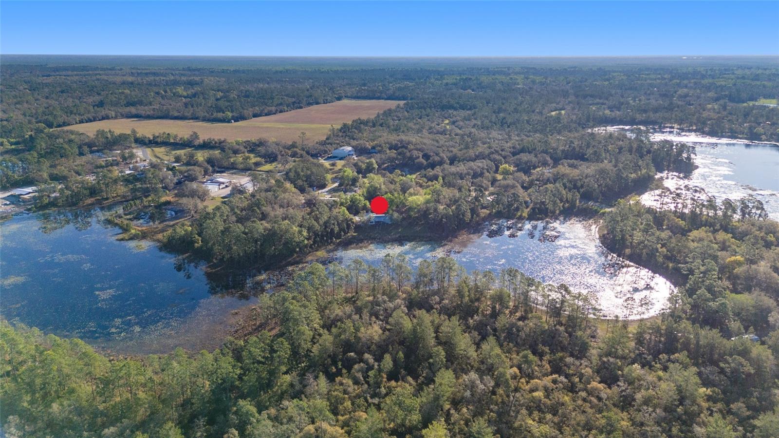 39615 FOREST DR, EUSTIS, FL, 32736