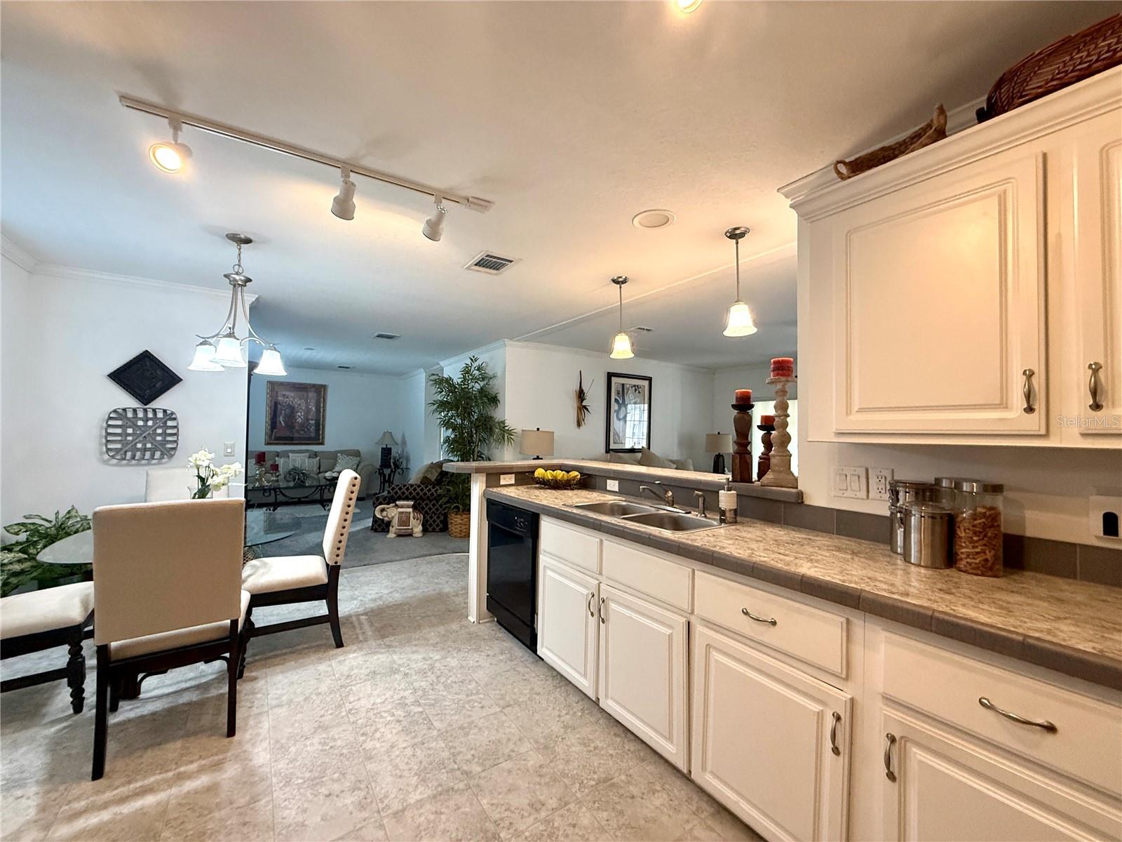 101 W SAINT JOHNS WAY, APOLLO BEACH, FL, 33572