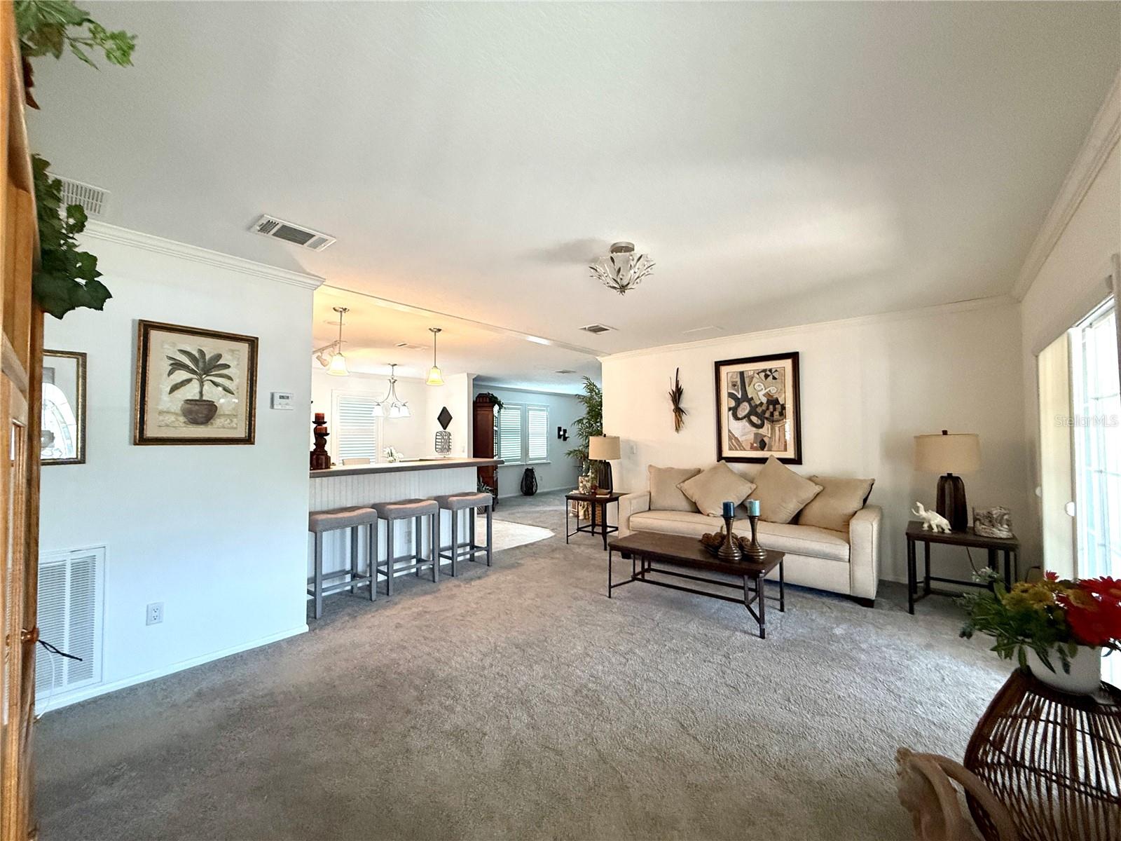 101 W SAINT JOHNS WAY, APOLLO BEACH, FL, 33572