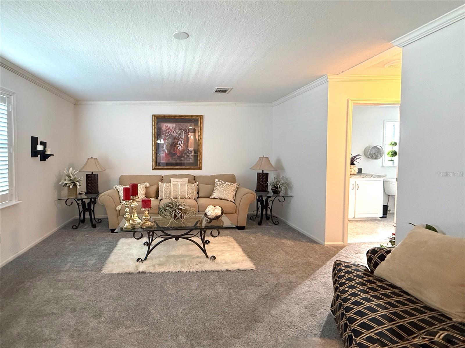 101 W SAINT JOHNS WAY, APOLLO BEACH, FL, 33572