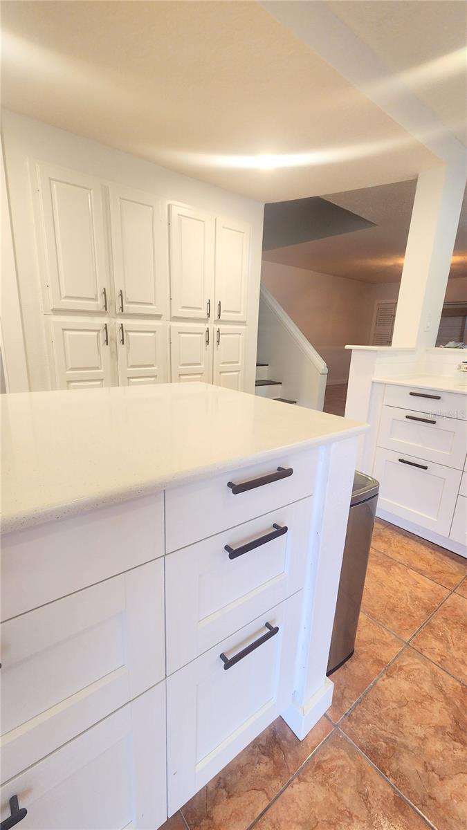 4312 SUNRAY CT #36, TAMPA, FL, 33615