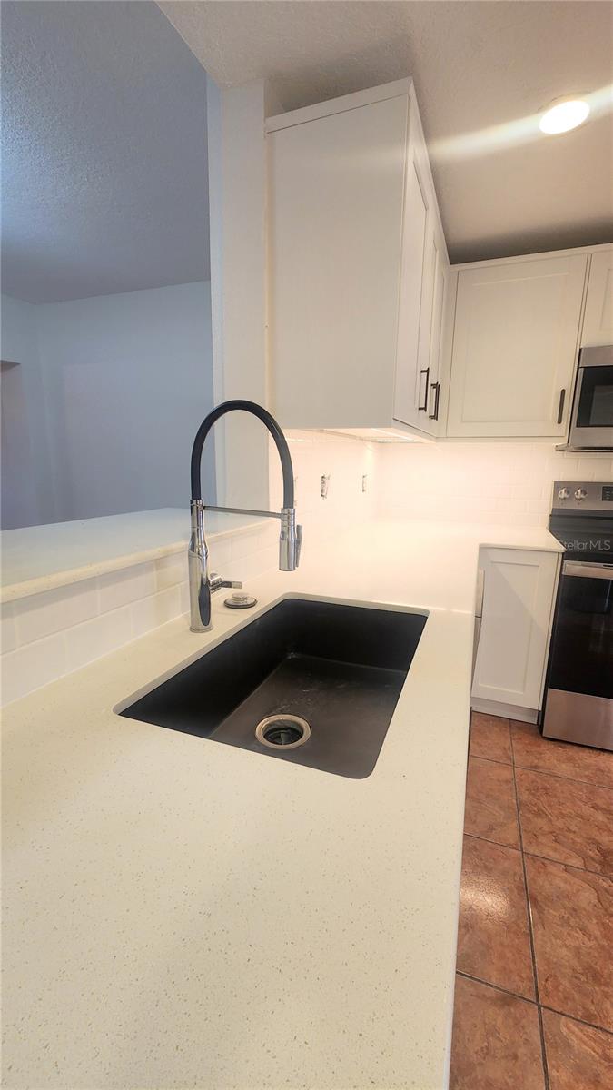 4312 SUNRAY CT #36, TAMPA, FL, 33615