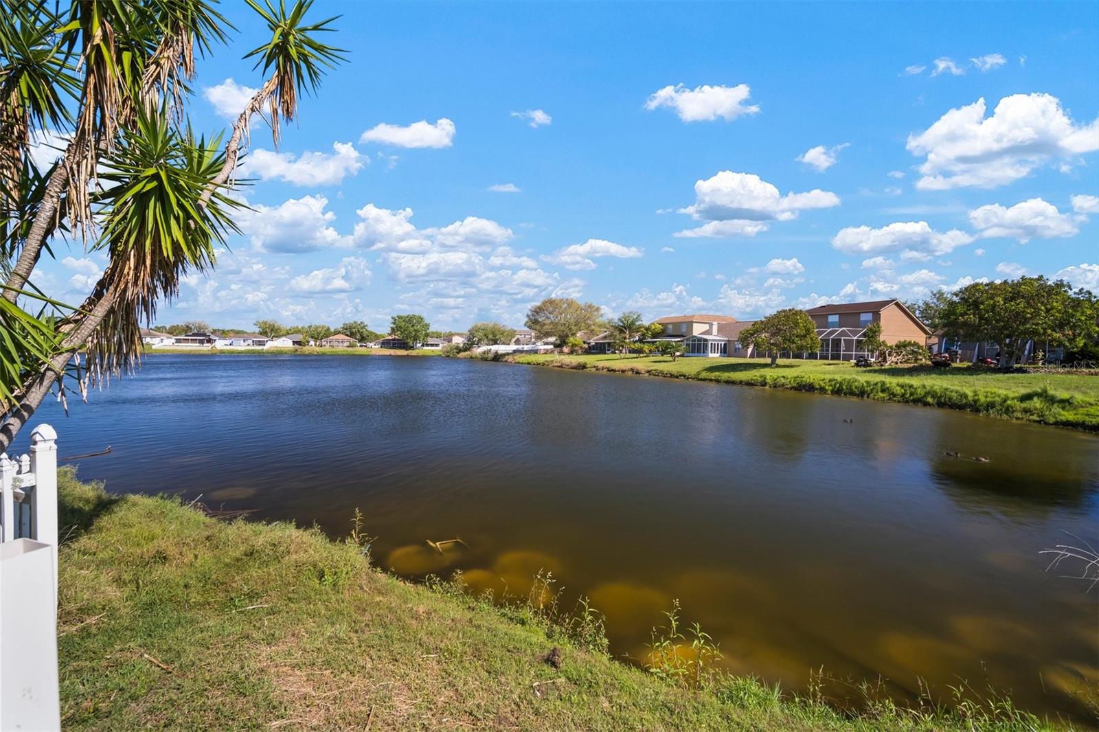 1224 CRESSFORD PL, BRANDON, FL, 33511