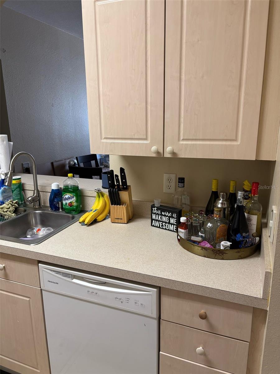 2300 SILVER PALM DR #204, KISSIMMEE, FL, 34747