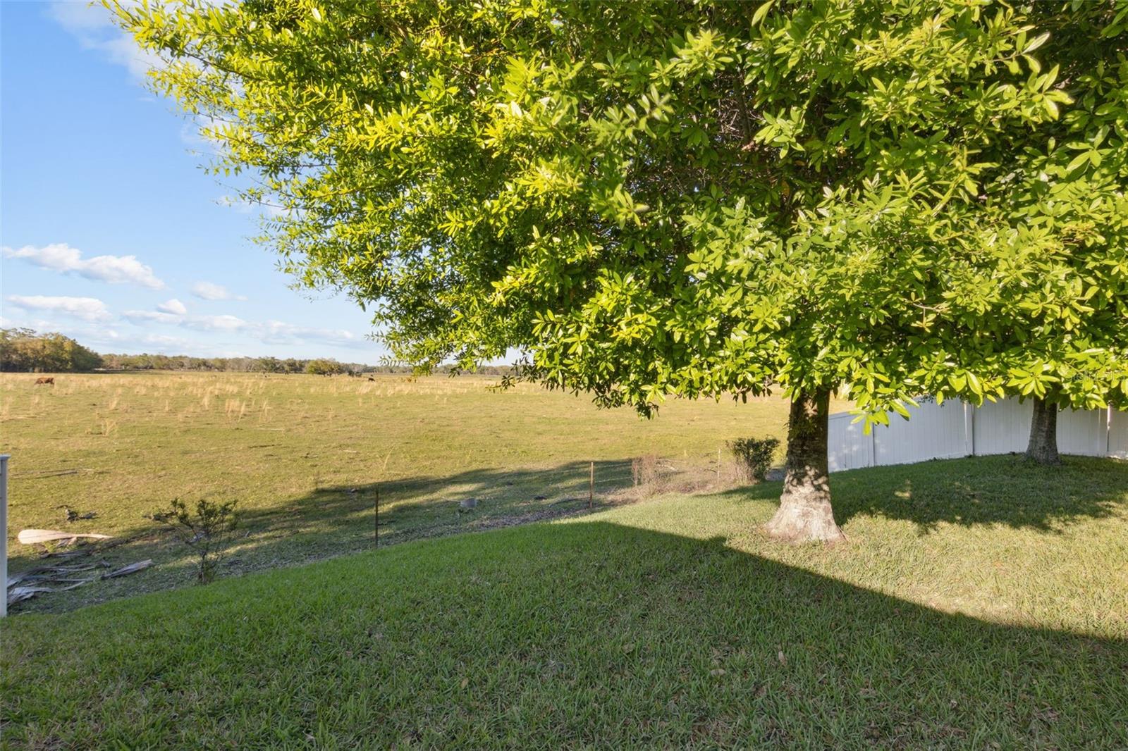 5571 SYCAMORE CANYON DR, KISSIMMEE, FL, 34758