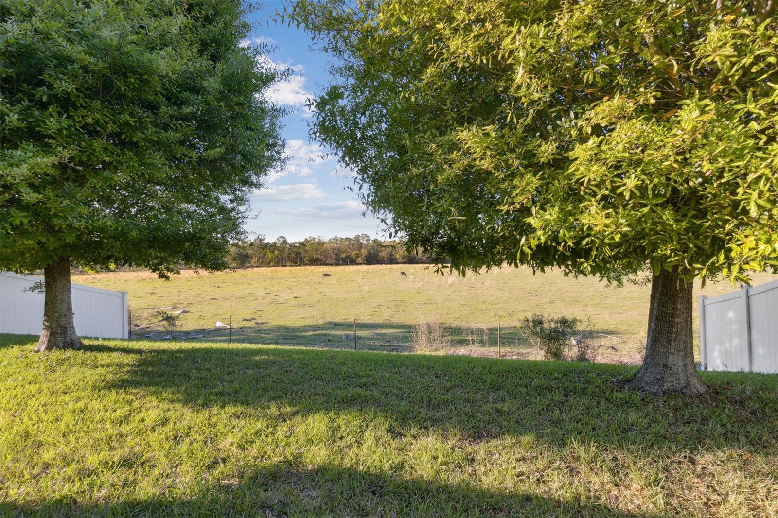 5571 SYCAMORE CANYON DR, KISSIMMEE, FL, 34758