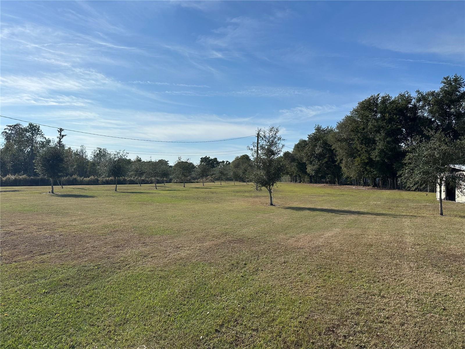104 WILDLIFE TRL, LAKELAND, FL, 33809