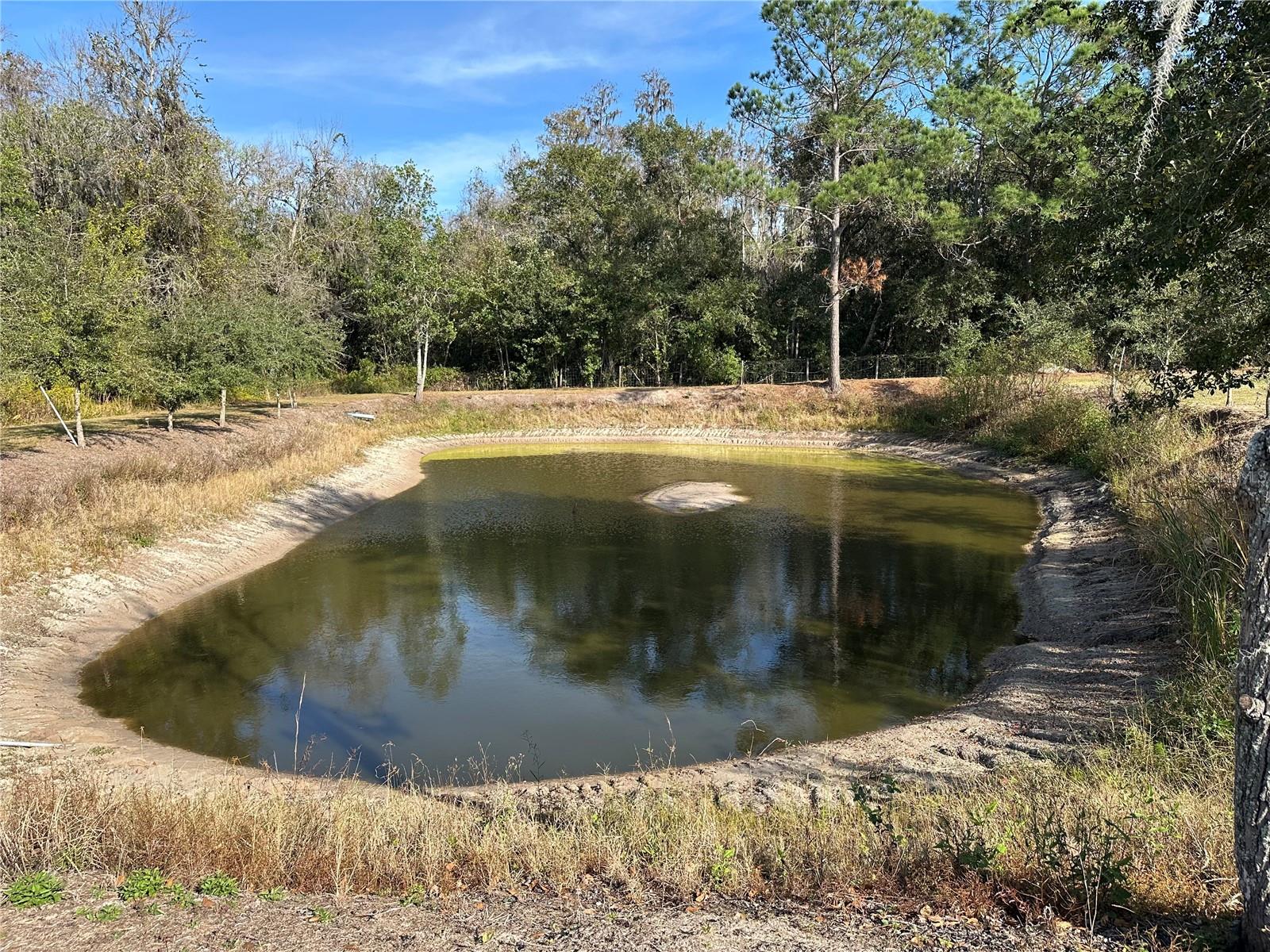 104 WILDLIFE TRL, LAKELAND, FL, 33809