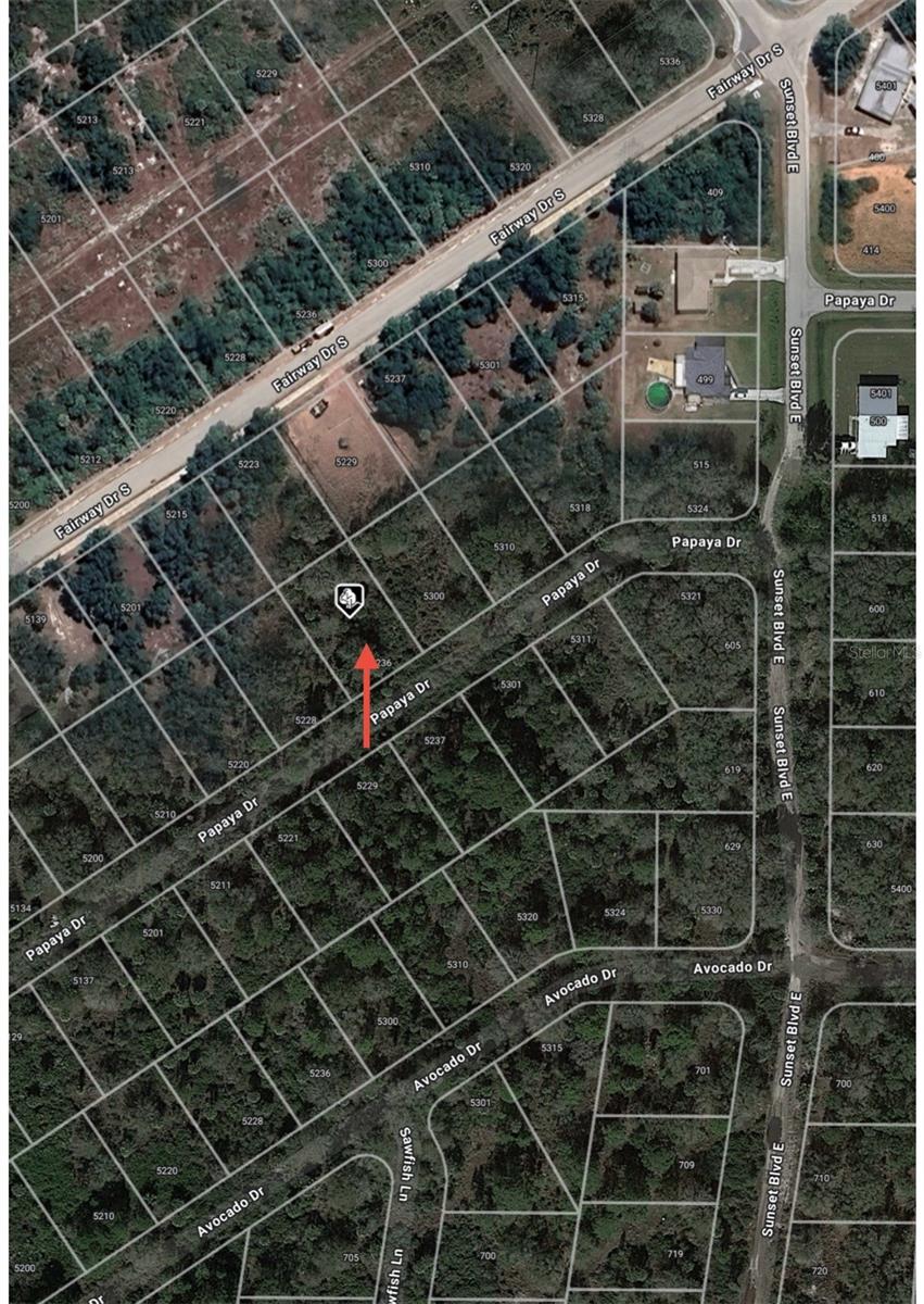5236 PAPAYA DR, PUNTA GORDA, FL, 33982