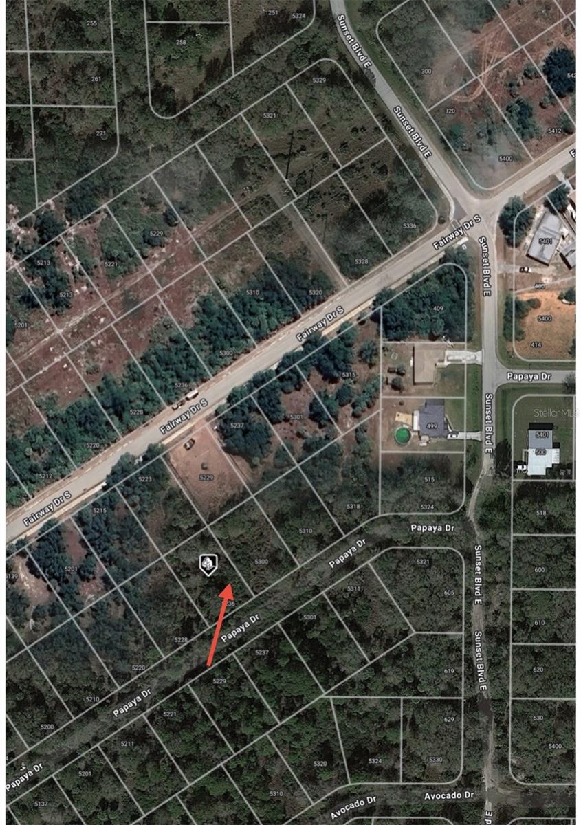 5236 PAPAYA DR, PUNTA GORDA, FL, 33982