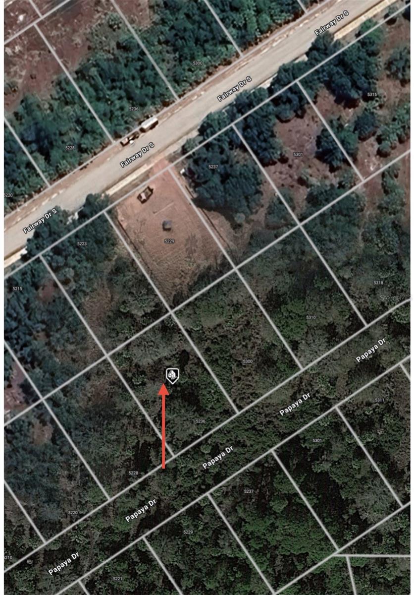 5236 PAPAYA DR, PUNTA GORDA, FL, 33982