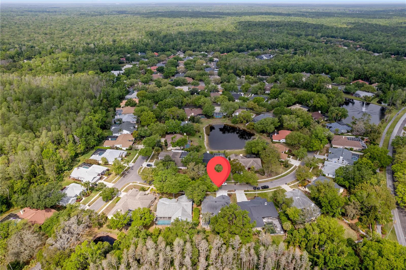15932 ELLSWORTH DR, TAMPA, FL, 33647