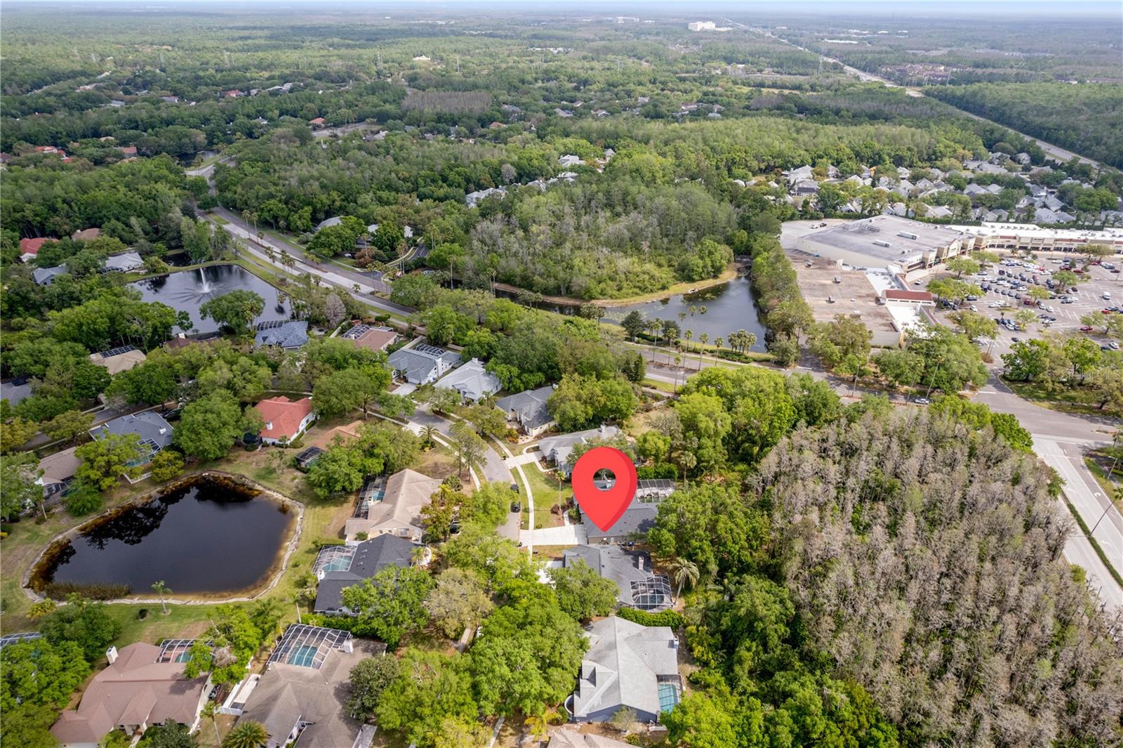 15932 ELLSWORTH DR, TAMPA, FL, 33647