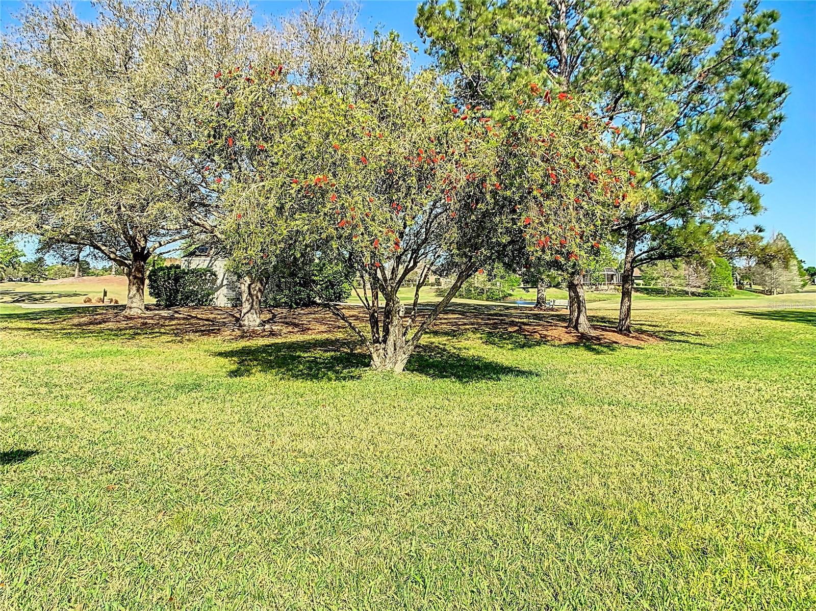 23901 CORAL RIDGE LN, LAND O LAKES, FL, 34639