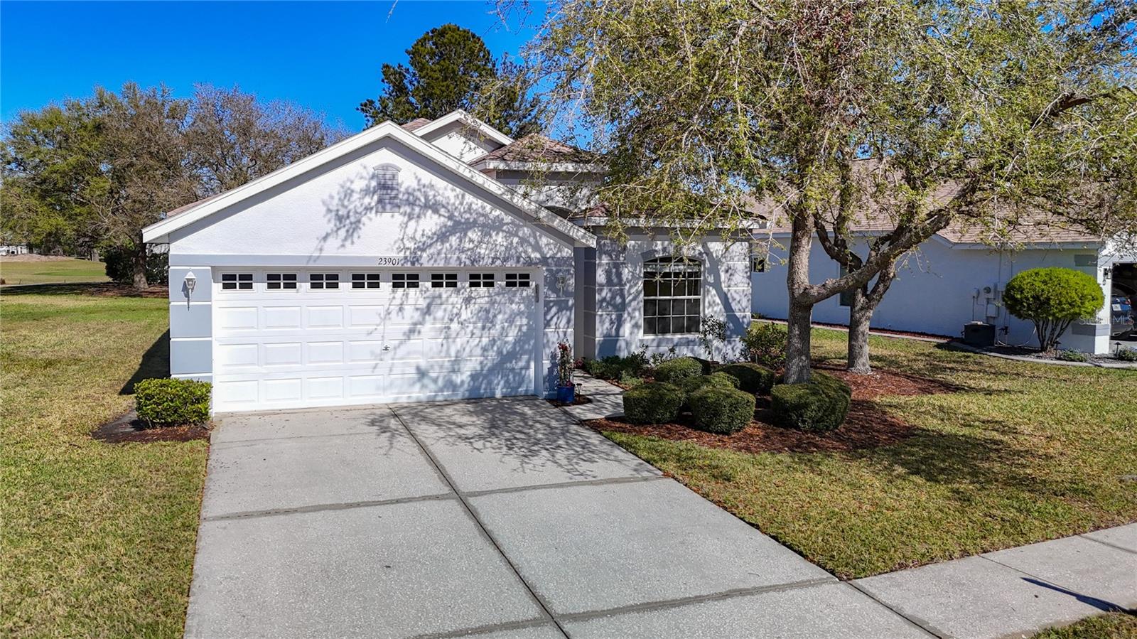 23901 CORAL RIDGE LN, LAND O LAKES, FL, 34639